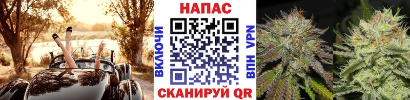 Бошки Шишки MAZAR  дарнет шоп  Глазов 
